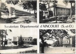 D 95. AINCOURT.  SANATORIUM - Aincourt