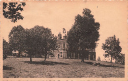 BELGIQUE - Anhée - Château De Senenne - Carte Postale Ancienne - Anhée