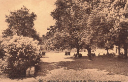 BELGIQUE - Andenne - Ecole Normale De L'État - Cour Des Marroniers - Carte Postale Ancienne - Andenne