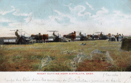 WHEAT CUTTING NEAR SINTALUTA - SASK - TAGLIO DEL GRANO PRESSO SINTALUTA - SASK - CARTOLINA FP SPEDITA NEL 1906 - Saskatoon