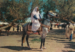 Libya - Arabian Horse Rider 1964 - Libia