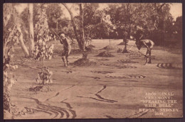 Australie, CPA " Aboriginal Ceremony, Spearing The Wild Bull " Kerry, Sydney - Aborigenes