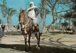 Libya - Libyan Knight Riding A Horse - Libia