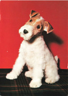 ANIMAUX & FAUNE - Chien - Fox Terrier - Carte Postale Ancienne - Chiens