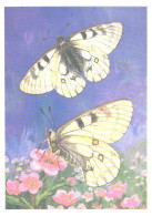 Butterfly, L.Aristov:Parnassius Clarius Ev., 1986 - Papillons