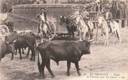 En Provence ( Cachet Aigues Morte Gard ) * N°14 * MANADE FRANCO RUSSE * Triage De Taureaux Pour Une Course * Manade - Aigues-Mortes