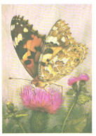 Butterfly, L.Aristov:Vanessa Cardui L., 1983 - Papillons