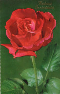 - Heureux Anniversaire - Rose Rouge - Scan Verso - - Anniversaire