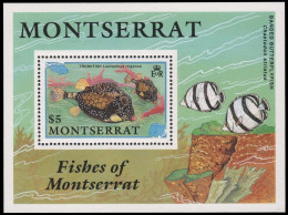 Montserrat 1991 - Mi-Nr. Block 60 ** - MNH - Fische / Fish - Montserrat