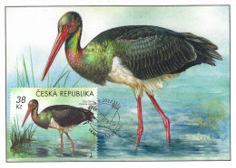 Czech Republic 2023 Vranov Black Stork Ciconia Nigra Maxicard - Storchenvögel