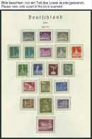 SAMMLUNGEN , 1955-83, Kompletter Postfrischer Sammlungsteil Auf Leuchtturm Falzlosseiten, Pracht - Collections