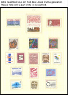 SAMMLUNGEN, LOTS 767-1233 , 1983-1999, Postfrisch Komplett Auf Seiten, Dazu MH 42-44, Pracht - Collezioni