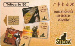 TELECARTE F635 SHEBA - LES SECRETS (2) - 1996