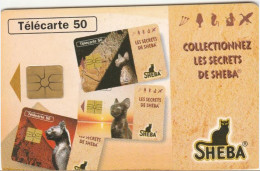 TELECARTE F635 SHEBA - LES SECRETS - 1996