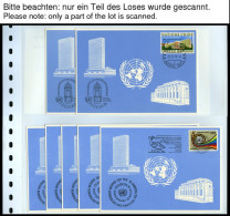 UNO - GENF ,Brief , 1969-78, Postfrisch Komplett, Dazu FDC`s Bis 1981 Sowie Blaue Karten Mit Dubletten, Prachterhaltung - Sonstige & Ohne Zuordnung