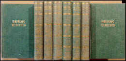 SACHBÜCHER Brehms Tierleben, 12 Bände Mit 55 Farbdrucktafeln Und Etwa 360 Zeichnungen Von Wilhelm Kuhnert, Herausgeber:  - Andere & Zonder Classificatie