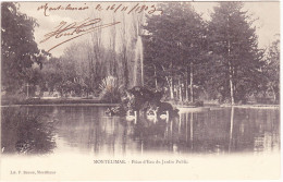 Delcampe - Montélimar  -  Pièce D'Eau Du Jardin Public - Montelimar