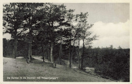 Emmen De Duinen Bij Haantjebak K6544 - Emmen