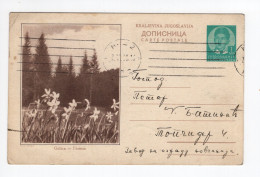 1938. KINGDOM OF YUGOSLAVIA,SERBIA,NIŠ POSTMARK,GOLICA,ILLUSTRATED STATIONERY CARD,USED - Entiers Postaux