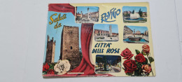 ROVIGO  SALUTI DA ROVIGO  Città Delle Rose - Rovigo