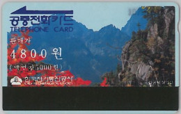 PHONE CARD- COREA DEL SUD (E30.22.6 - Corée Du Sud