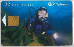 PHONE CARD- NORVEGIA (E23.18.2 - Norwegen