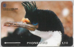 PHONE CARD - ISOLE FALKLAND (E36.24.1 - Falklandeilanden