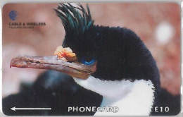 PHONE CARD - ISOLE FALKLAND (E36.23.8 - Falkland Islands