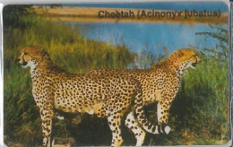 PHONE CARD -NAMIBIA (E41.31.8 - Namibië