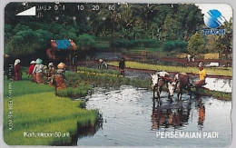 PHONE CARD - INDONESIA (E39.50.3 - Indonésie