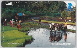 PHONE CARD - INDONESIA (E39.50.3 - Indonesië
