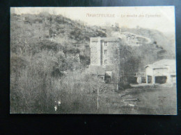 AIGREFEUILLE                       LE MOULIN DES EPINETTES - Aigrefeuille-sur-Maine