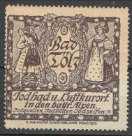GERMANY Reklamemarke VIGNETTE Bad Tölz Jod U. Luftkurort I. D. Bayr. Alpen Bayern Costume Typique  5.5 X 5.5 Cm - Erinnofilia