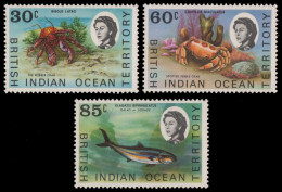 BIOT 1970 - Mi-Nr. 36-38 ** - MNH - Meeresleben / Marine Life - Territoire Britannique De L'Océan Indien