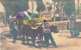 TURQUIE - Des Paysans Transportant Des Marchandises Sur Un Chariot - Colorisé - Carte Postale Ancienne - Turkey