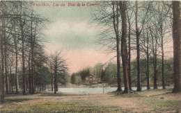 BELGIQUE - Bruxelles - Vue Sur Le Lac Du Bois De La Cambre - Colorisé - Carte Postale Ancienne - Forêts, Parcs, Jardins