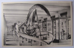 BELGIQUE - BRUXELLES - Musée Royal D'Histoire Naturelle - Le Crâne De La Baleine Franche - Musei