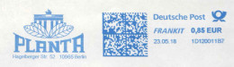 954  Feuilles De Tabac: Ema D'Allemagne - Tobacco Leaves, Brandenburg Gate: Meter Stamp From Germany. Planta Berlin - Drogen