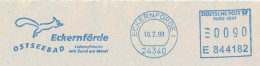 954  Écureuil: Ema D'Allemagne, 2009 - Squirrel Meter Stamp From Eckernförde, Germany - Rongeurs