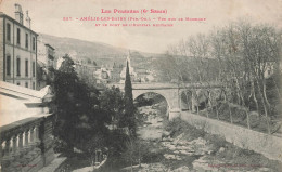 Amélie Les Bains * Vue Sur Le Mondony Et Le Pont De L'hôpital Militaire - Amélie-les-Bains-Palalda