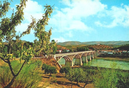 BARCA D'ALVA, Guarda - Ponte Sobre O Rio Douro  ( 2 Scans ) - Guarda