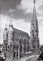 Vienna - Cattedrale Di Santo Stefano - Churches