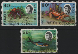 BIOT 1970 - Mi-Nr. 36-38 Gest / Used - Meeresleben / Marine Life - Territoire Britannique De L'Océan Indien