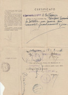 CERTIFICATO 1944  TIMBRO CALTAGIRONE PIAZZA ARMMERINA ENNA (RY4621 - Ocu. Anglo-Americana: Sicilia