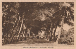 CARTOLINA SOMALIA COLONIE ITALIANE (RY8134 - Somalie