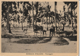 CARTOLINA SOMALIA ITALIANA COLONIE (RY8089 - Somalia