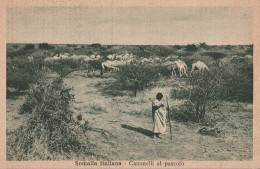 CARTOLINA SOMALIA ITALIANA (RY8045 - Somalië