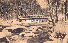 Pont De Belleheid Sous La Neige - Vallée De La Hoëgne - Sart-lez-Spa - Jalhay