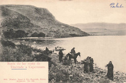 ISRAËL - Borés Du Lac Route De Tibériale à Capernaum - Carte Postale Ancienne - Israël