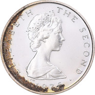 Monnaie, Île De Man, Elizabeth II, 1/2 Penny, 1976, SPL, Argent, KM:32a - Isle Of Man